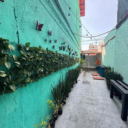 Hotel Alo Mexico Zewnętrze zdjęcie