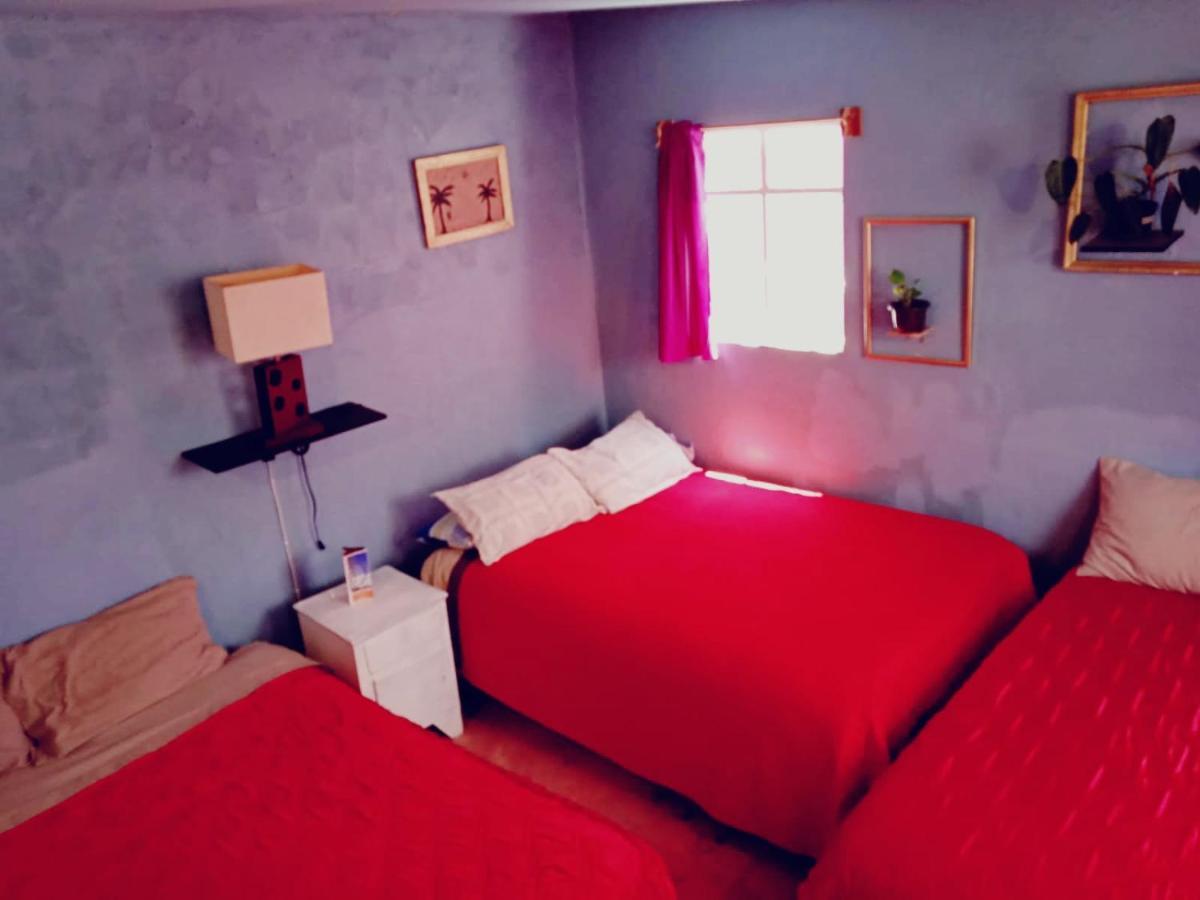 Hotel Alo Mexico Zewnętrze zdjęcie