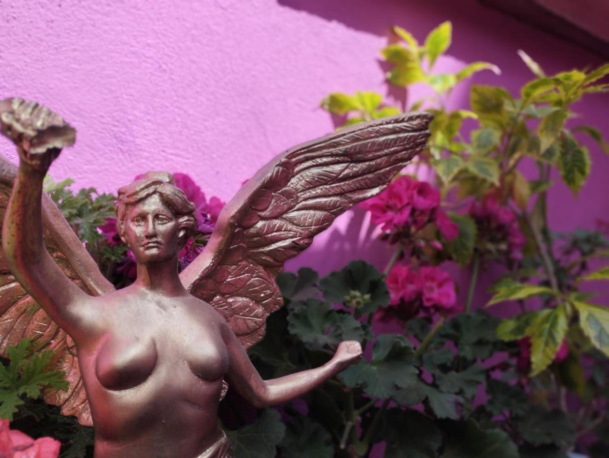 Hotel Alo Mexico Zewnętrze zdjęcie