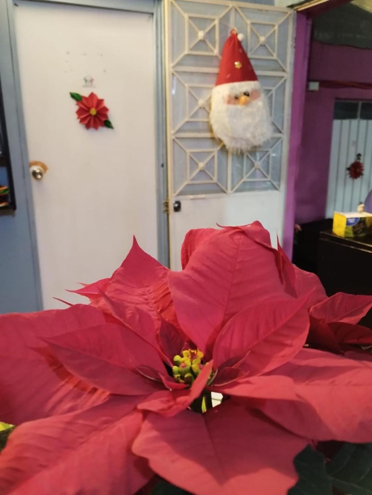 Hotel Alo Mexico Zewnętrze zdjęcie