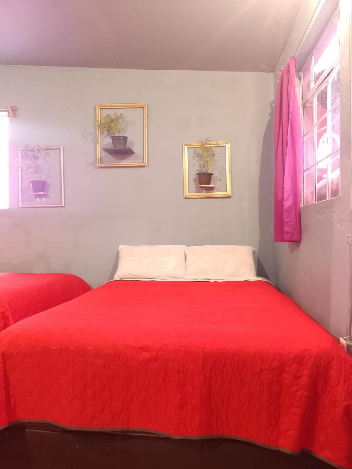 Hotel Alo Mexico Zewnętrze zdjęcie