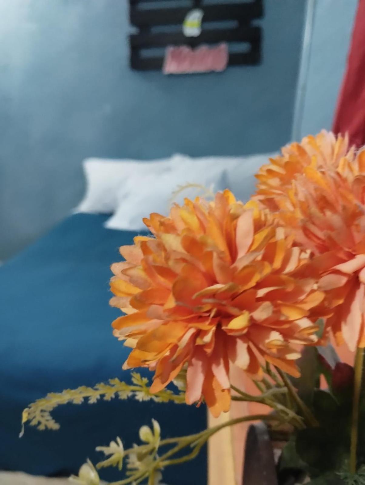 Hotel Alo Mexico Zewnętrze zdjęcie