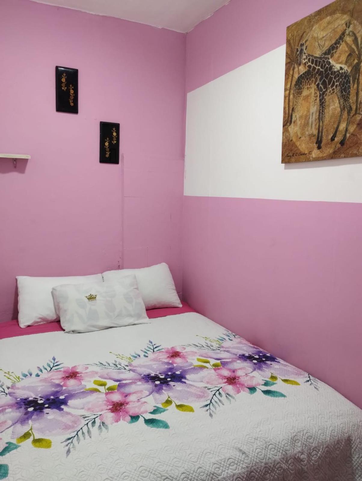 Hotel Alo Mexico Zewnętrze zdjęcie