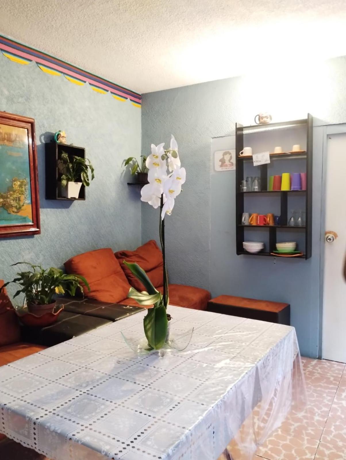 Hotel Alo Mexico Zewnętrze zdjęcie