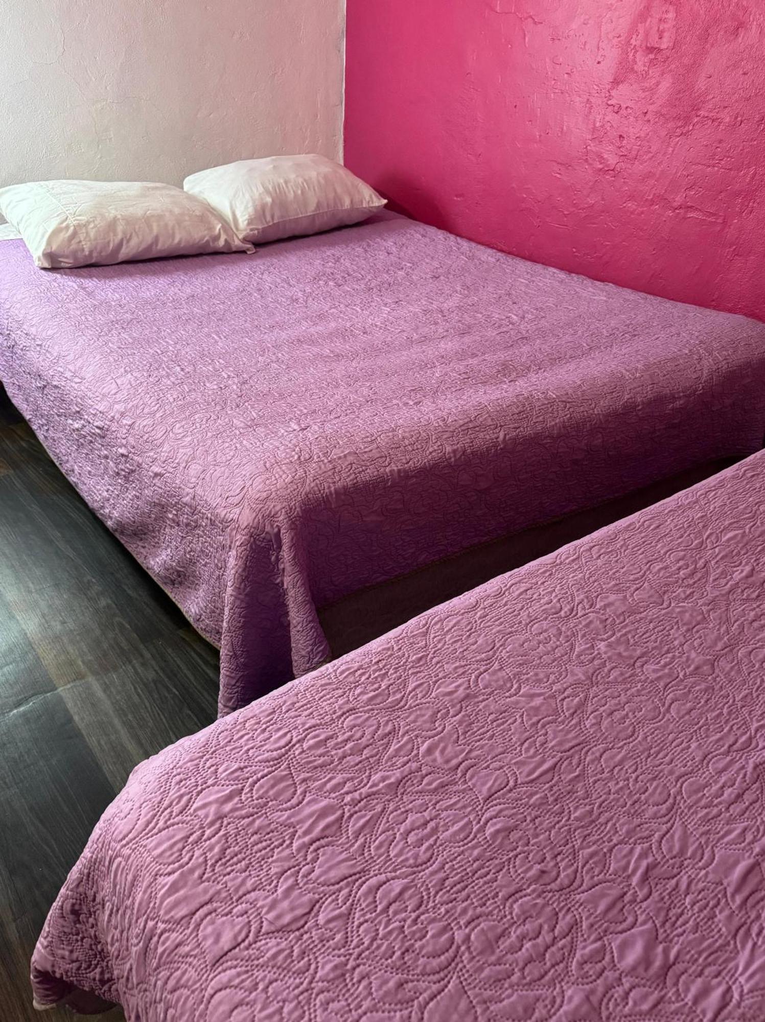 Hotel Alo Mexico Zewnętrze zdjęcie