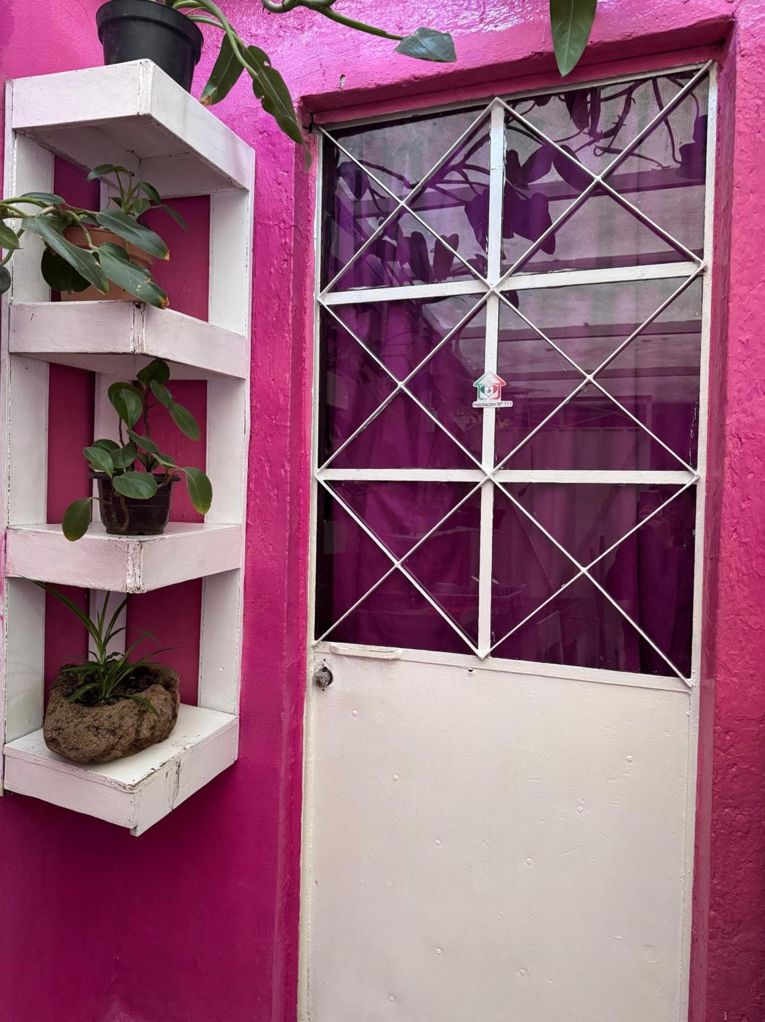 Hotel Alo Mexico Zewnętrze zdjęcie